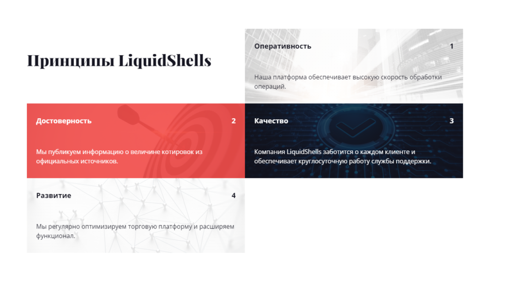 Liquidshells.com - обзор и отзывы о брокере